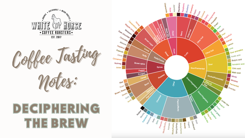 Coffee Tasting Notes: Deciphering the Brew