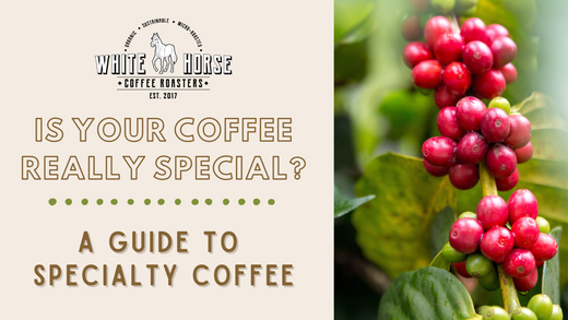 Is Your Coffee Really Special? A Guide to Specialty Coffee